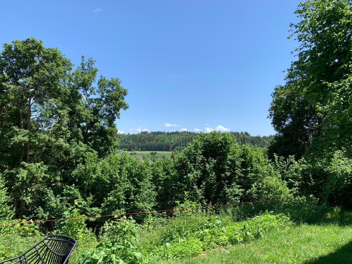 Moderne Wohnung Im Gruenen Mit Privatem Garten Donaueschingen Kültér fotó