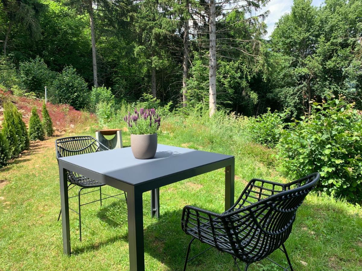 Moderne Wohnung Im Gruenen Mit Privatem Garten Donaueschingen Kültér fotó